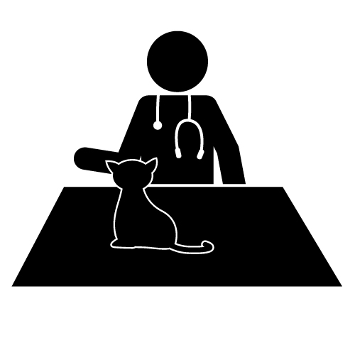 Veterinarian and Cat Icon
